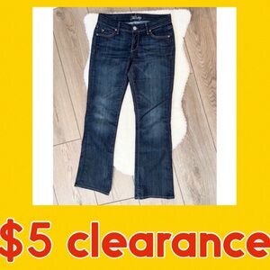 FIDELITY Japan Rose Flare Jeans Size 27